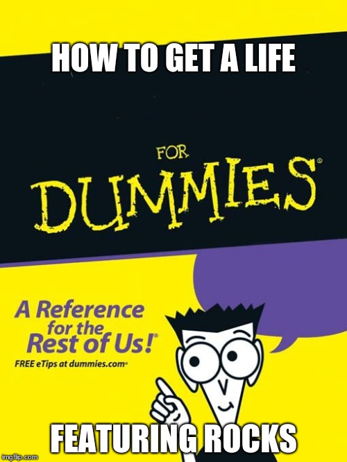 For dummies book Imgflip