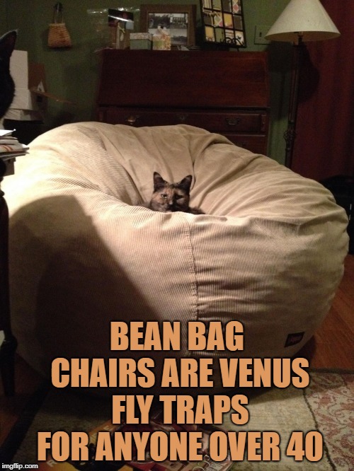 Image tagged in bean bag,funny,memes,funny memes Imgflip