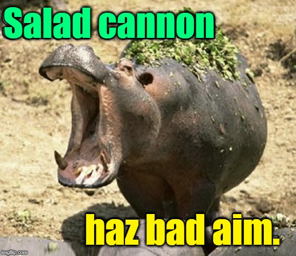 The Salad Shooter 9000 Imgflip