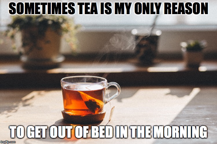 Tea is my reason Imgflip
