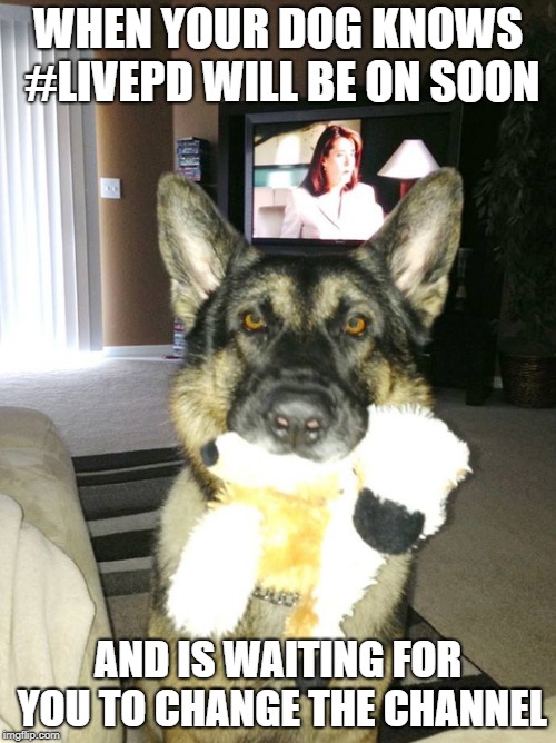 dog with toy Imgflip