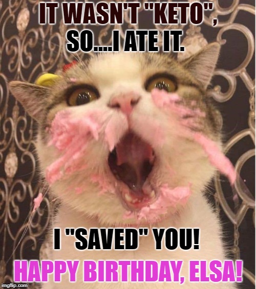 cat frosting birthday cakeday Imgflip