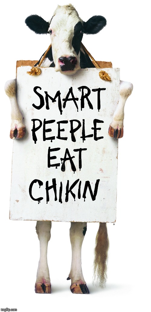 Minecraft Advice Chicken Imgflip