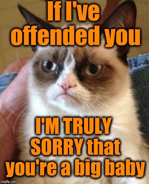Did you really think Grumpy Cat was gonna sincerely apologize? Really