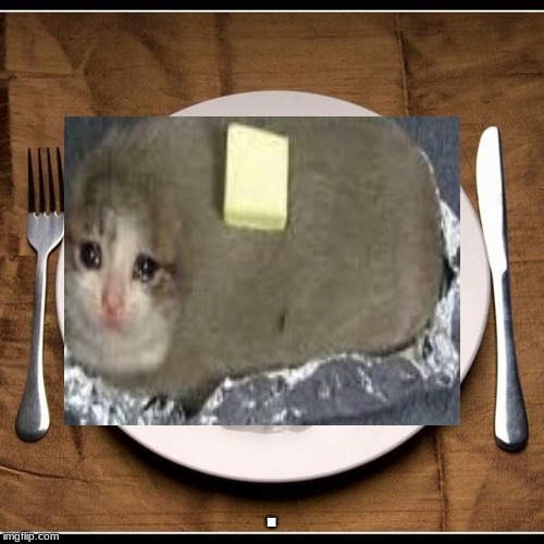 Image tagged in potato cat,potato,memes,cats Imgflip