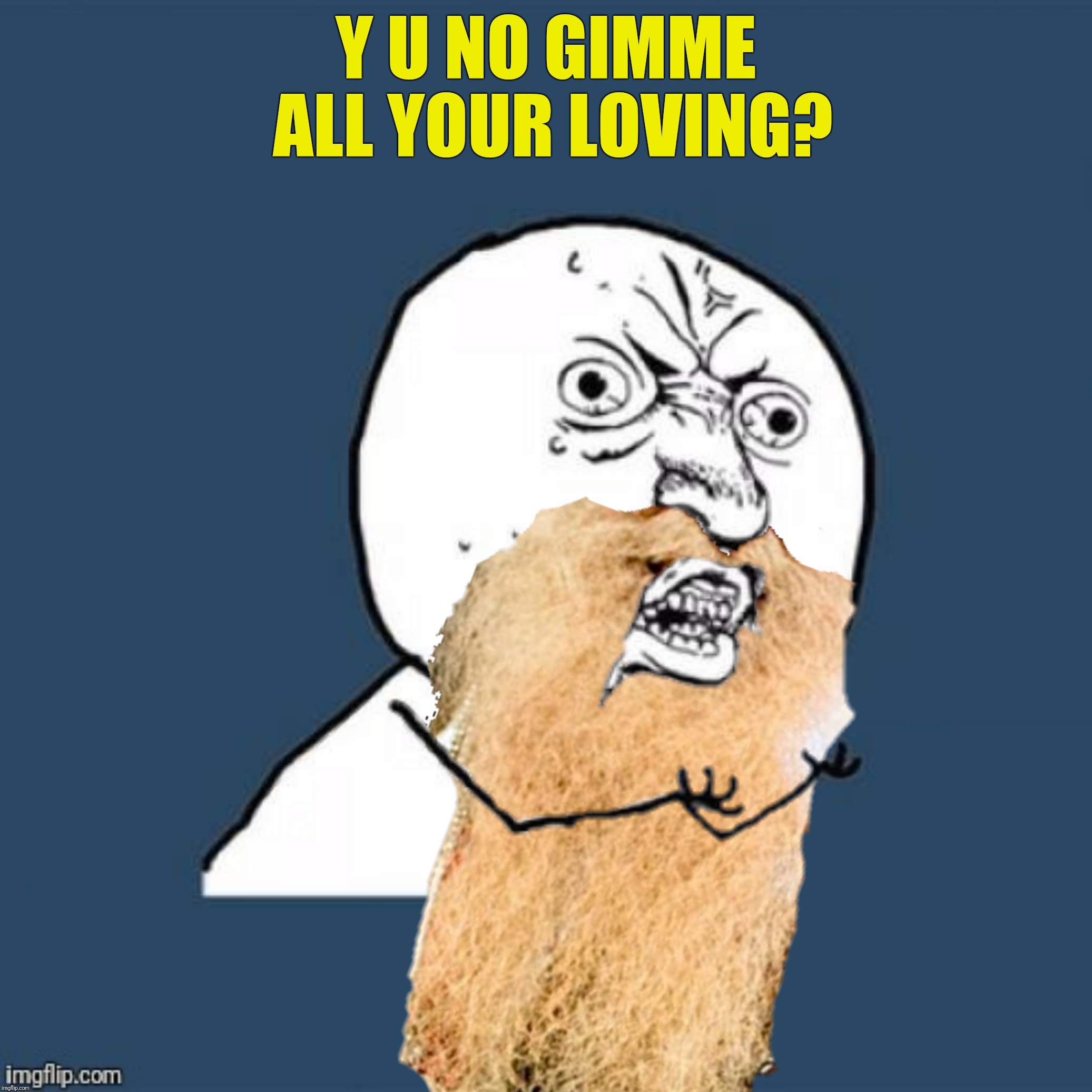 billy gibbons Memes & GIFs Imgflip