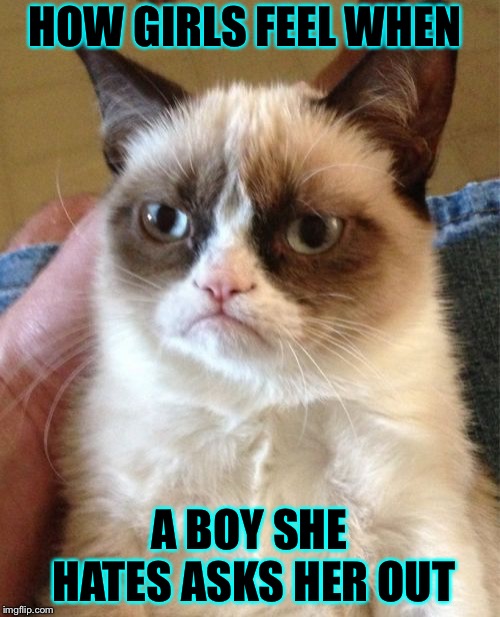 Grumpy Cat Meme Imgflip