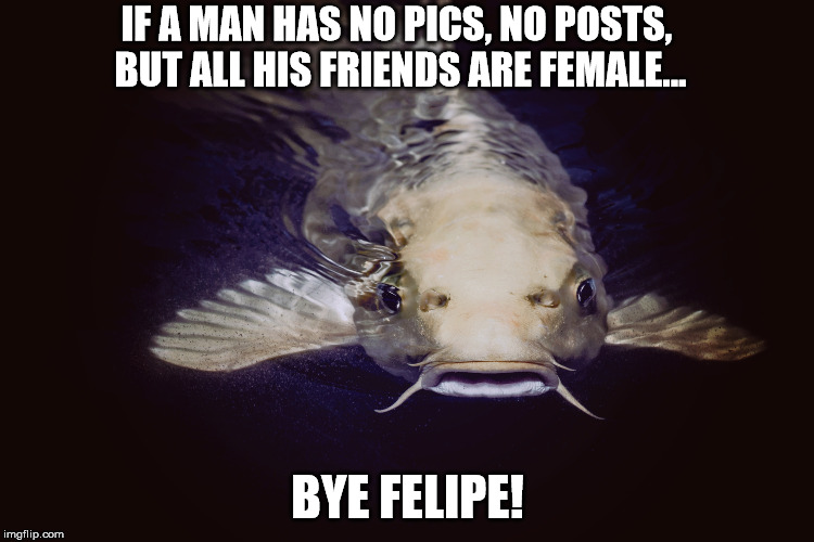 catfish Memes & GIFs Imgflip