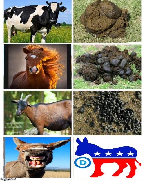 DEMOCRAPSSSSSS Imgflip