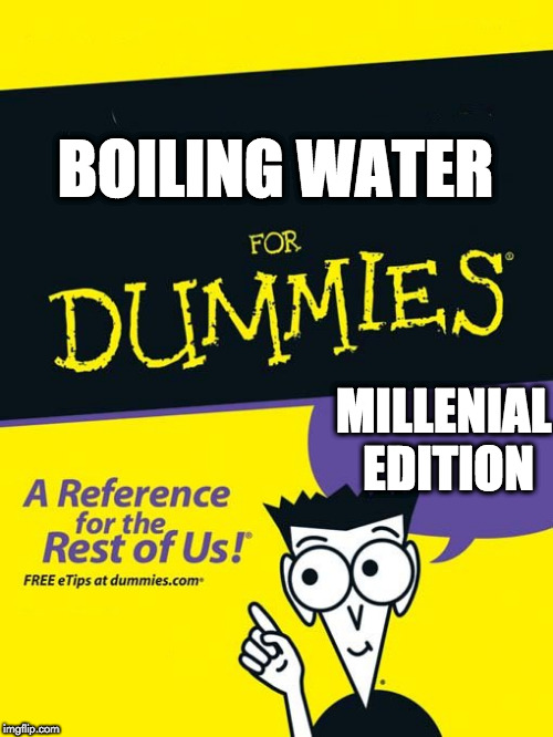 For dummies book Imgflip