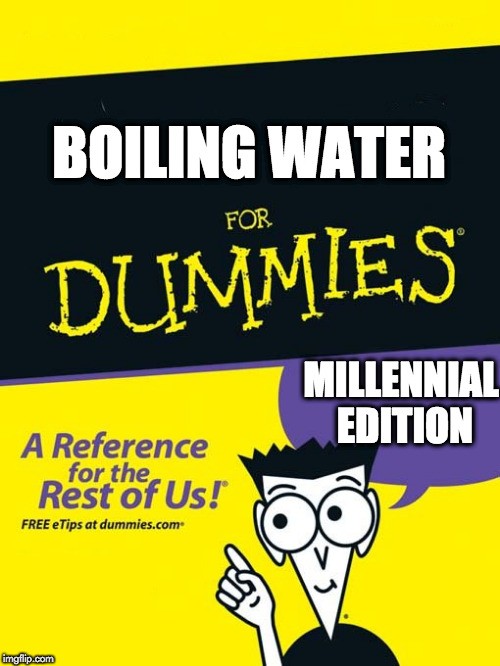 For dummies book Imgflip