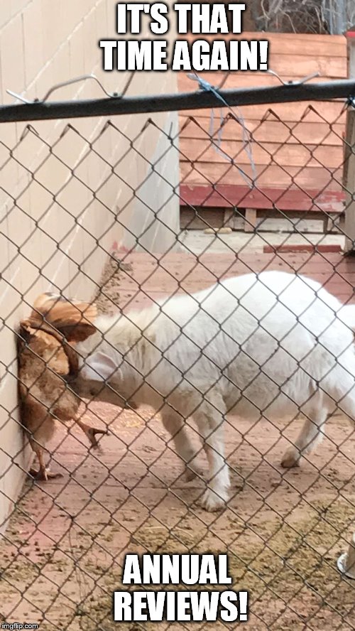 It's That Time Again! Annual Reviews! Imgflip