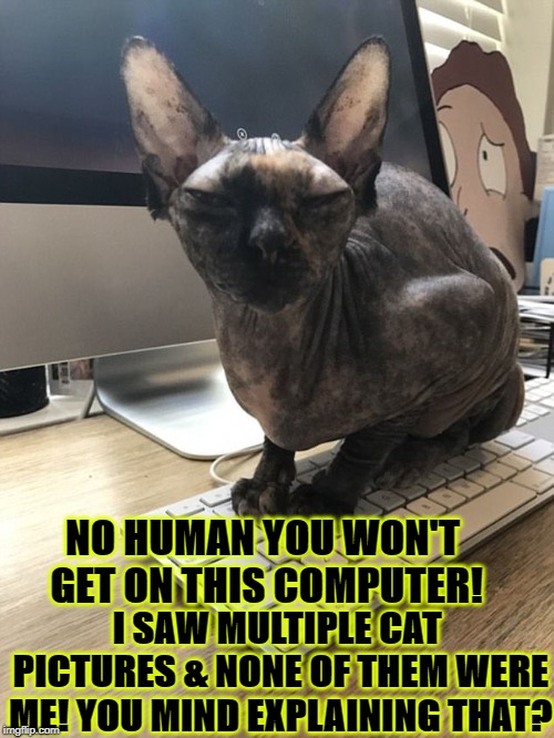 Image tagged in ugly jerk Imgflip