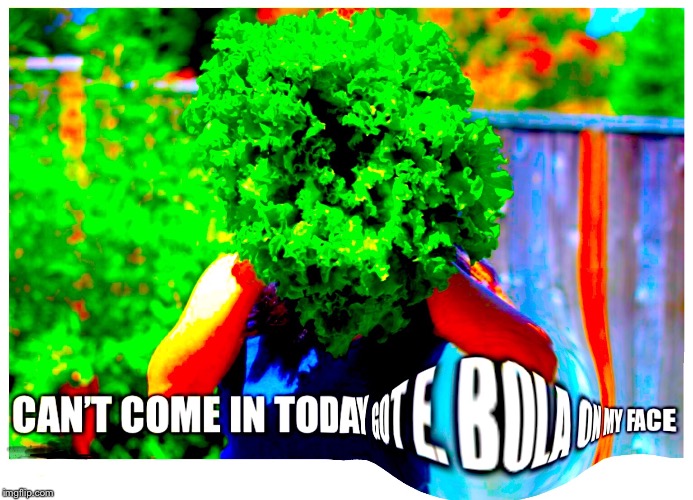 E.Coli Lettuce Outbreak Imgflip