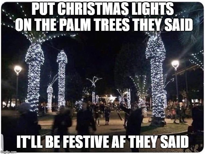 Christmas Lights Palm Trees Meme 2021 Best Christmas Lights 2021