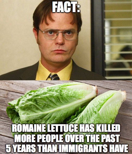 Romaine Lettuce Imgflip