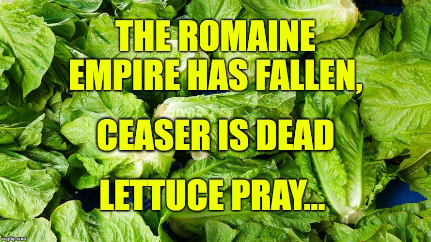 Image tagged in romaine,lettuce Imgflip