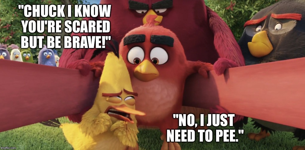 ANGRY BIRDS Imgflip