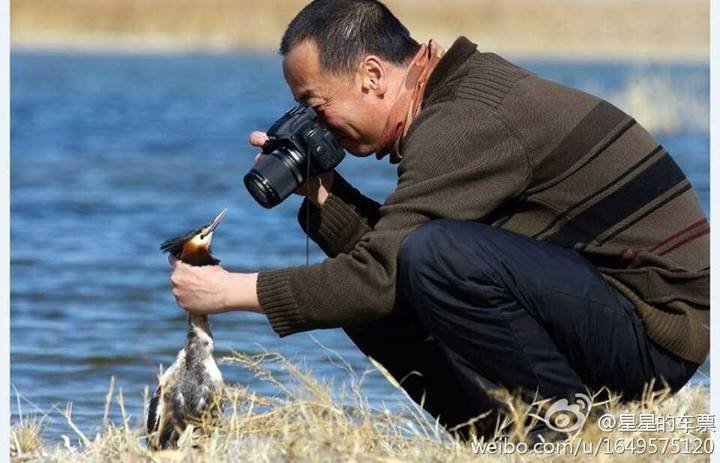 "duck" Meme Templates Imgflip