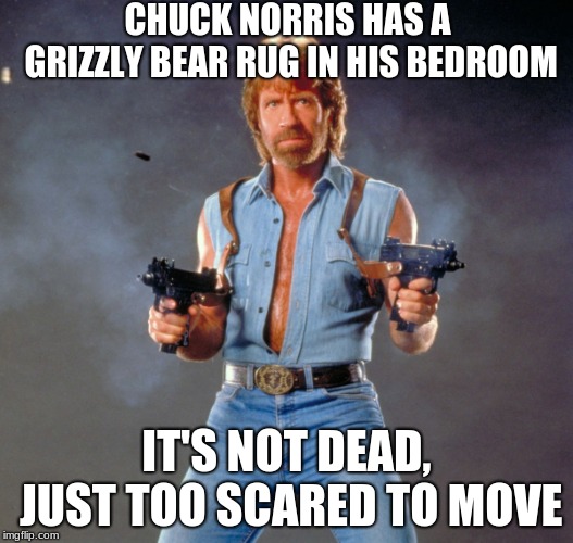 Chuck Norris Guns Meme Imgflip