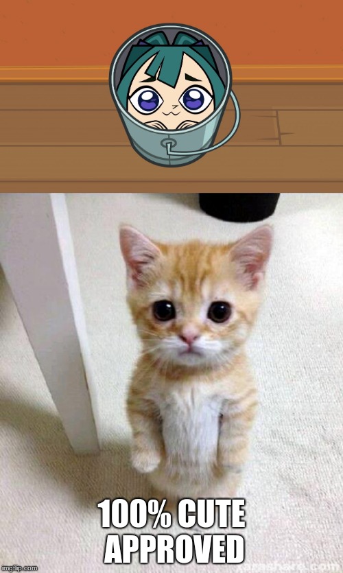 Image tagged in memes,cute cat,kawaii gwen Imgflip