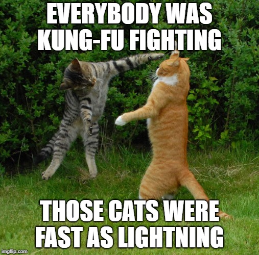 KungFu Cats Imgflip