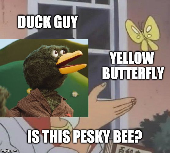 pesky bee Imgflip