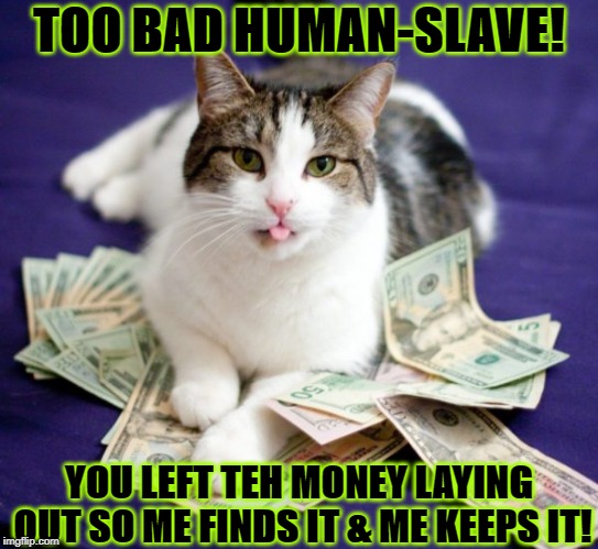 Image tagged in me keeps it Imgflip