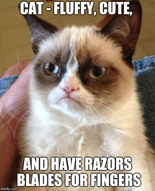 Grumpy Cat Meme Imgflip