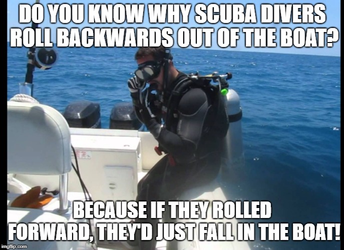 Image tagged in scuba diver Imgflip