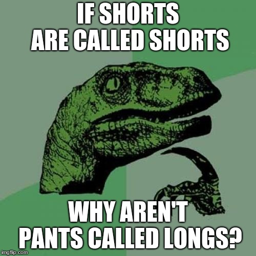 Philosoraptor Meme Imgflip