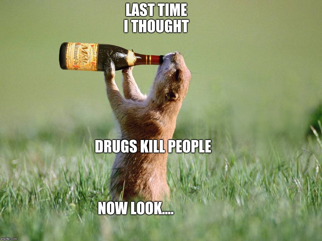 ALCHOLAL KILLS NOW ANIMALS NOT DRUGS Imgflip