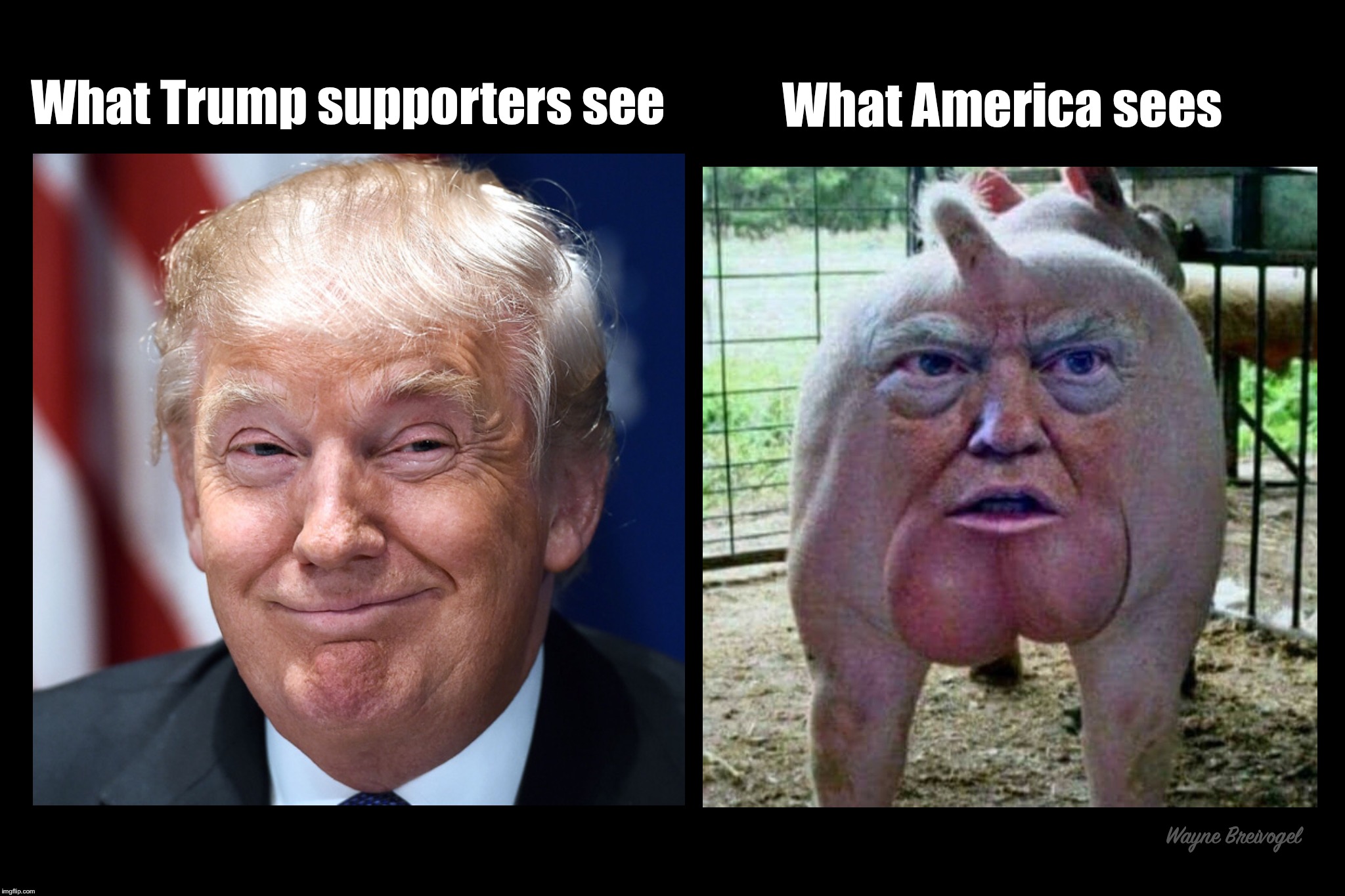 What Trump supporters see Imgflip