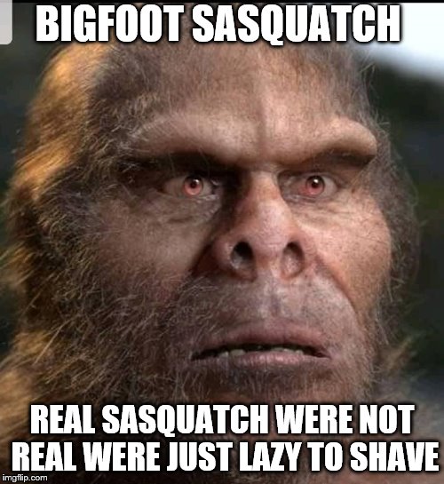 bigfoot sasquatch Imgflip