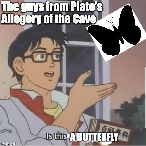 Butterfly man Imgflip