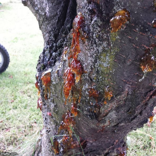 30 Dinge, die du nur kennst, wenn du auf dem Dorf groÃŸ geworden bist!