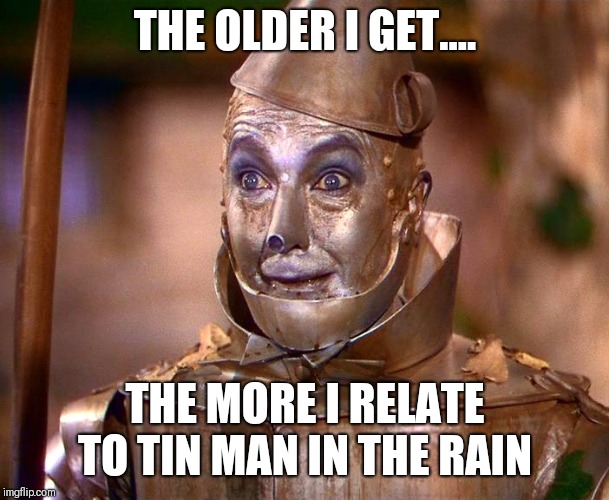 Image tagged in tinman Imgflip