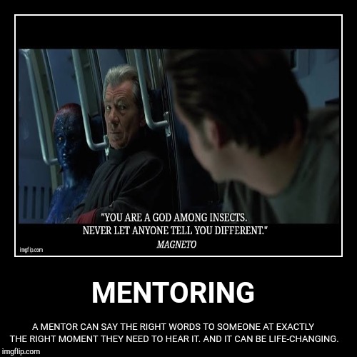 MENTORING Imgflip