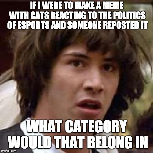 WHAT CATEGORY Imgflip