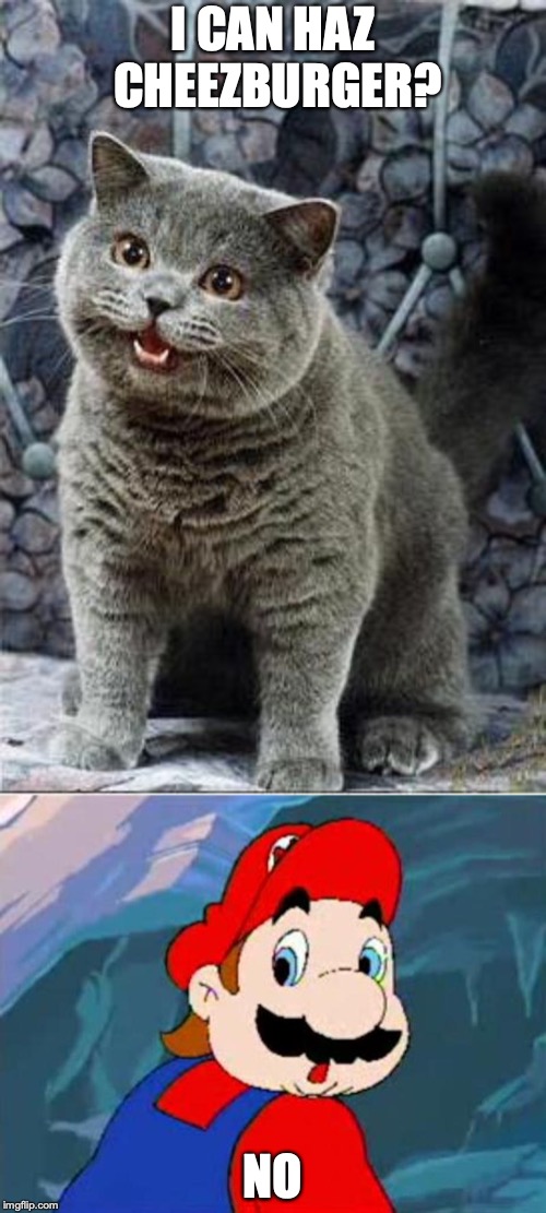 15++ Cat Memes Cheezburger Factory Memes