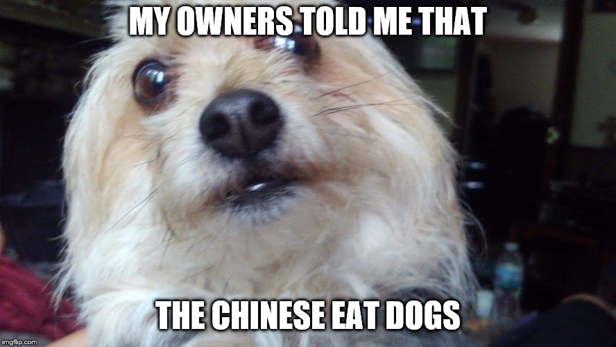 Image tagged in food Imgflip