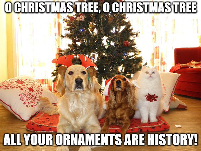 Uh Oh! The Christmas Tree Triple Threat! Imgflip