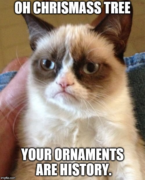 Grumpy Cat Meme Imgflip