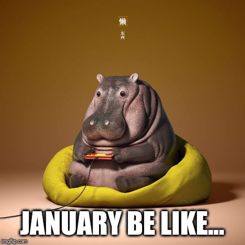 January be like... Imgflip