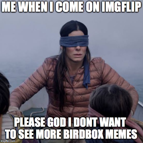 Bird Box Meme Imgflip