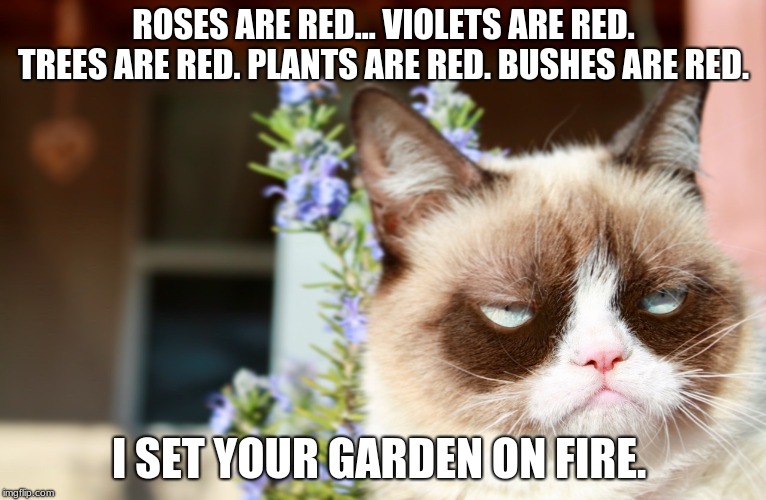 Grumpy Cat's Fire Imgflip