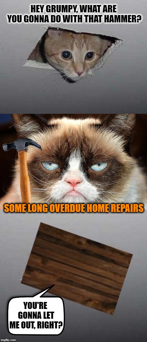 Home Improvement Imgflip