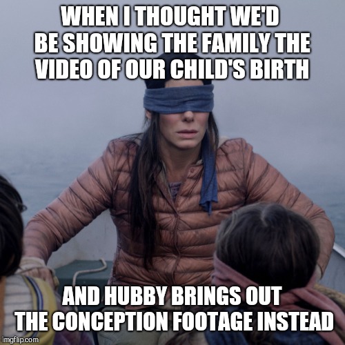 Bird Box Meme Imgflip