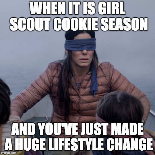 Bird Box Meme Imgflip