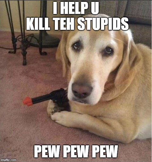 Image tagged in pew pew pew,dog Imgflip
